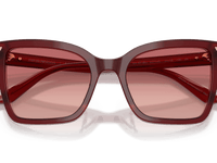 Shiny Bordeaux / Pink Gradient Red (6377A5)