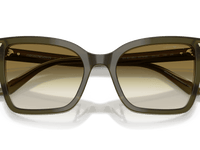 Shiny Dark Green / Clear Gradient Dark Green (63788E)