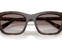 Shiny Havana / Clear (50261W)