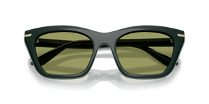 Shiny Dark Green / Clear (63801W)