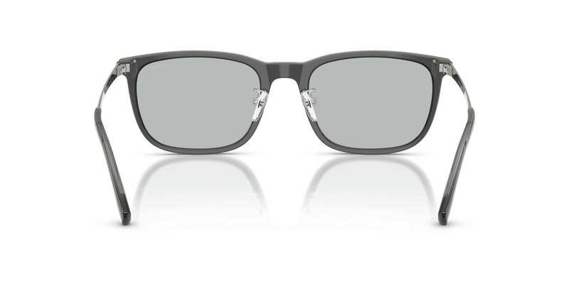 Emporio Armani EA4275D in Shiny Transparent Grey / Light Grey (502987) - Alternate View