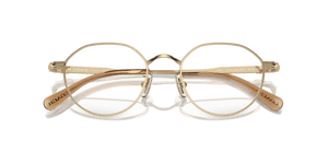 Shiny Light Gold (9005)