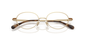 Shiny Light Gold (9005)