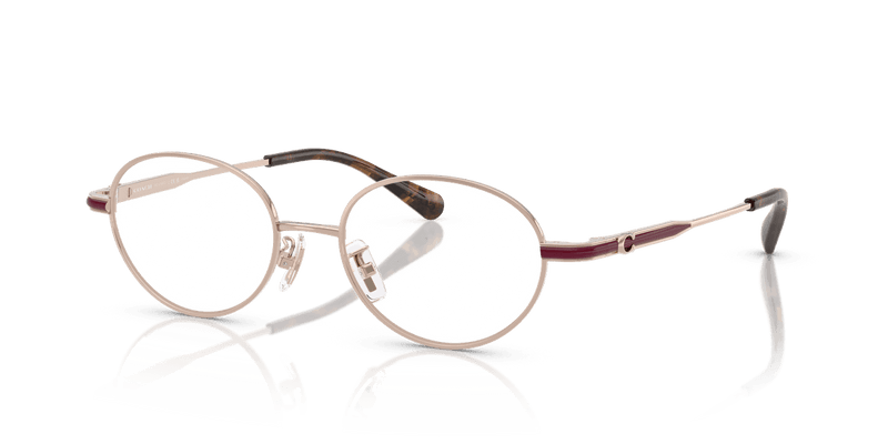 Coach HC5189TD in Vintage Rose Gold (9331) - Alternate View