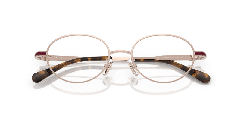 Coach HC5189TD in Vintage Rose Gold (9331) - Alternate View