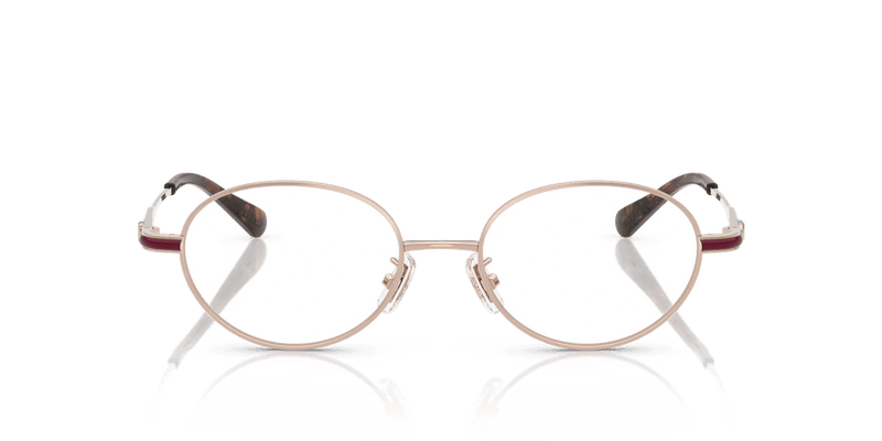 Coach HC5189TD in Vintage Rose Gold (9331) - Alternate View