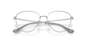 Shiny Silver (9001)
