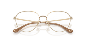 Shiny Light Gold (9005)