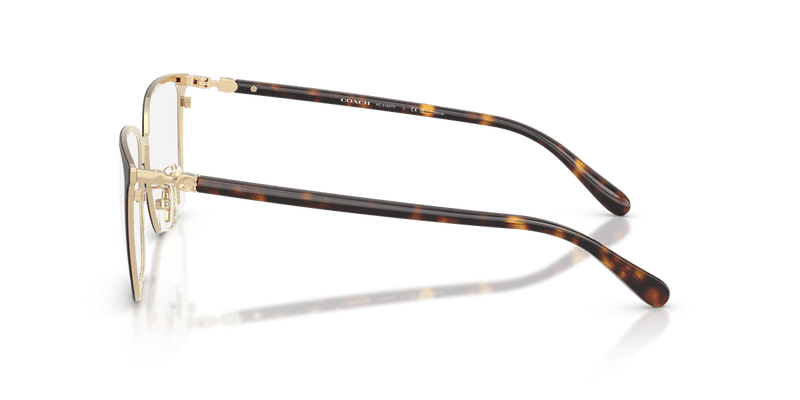 Coach HC5195TD in Matte Dark Brown (9476) - Alternate View