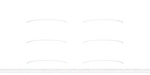 Shiny Silver (9001)