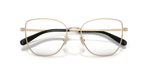 Shiny Light Gold (9005)