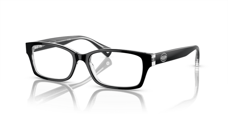 Coach BROOKLYN HC6040 in Black/Crystal Clear / Demo Lens - Side View
