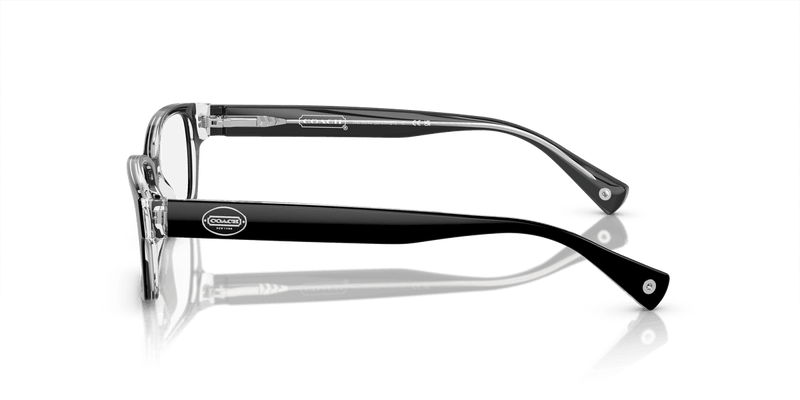 Coach BROOKLYN HC6040 in Black/Crystal Clear / Demo Lens - Side View