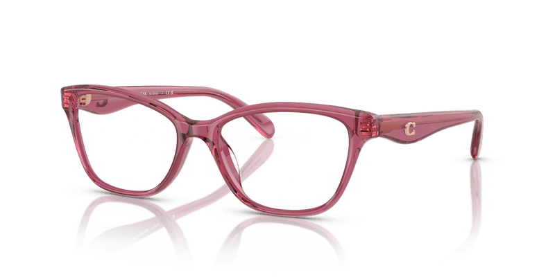 Coach HC6243U in Transparent Burgundy / Demo Lens - Alternate View