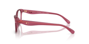 Transparent Burgundy / Demo Lens
