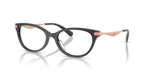 Transparent Dark Grey / Demo Lens