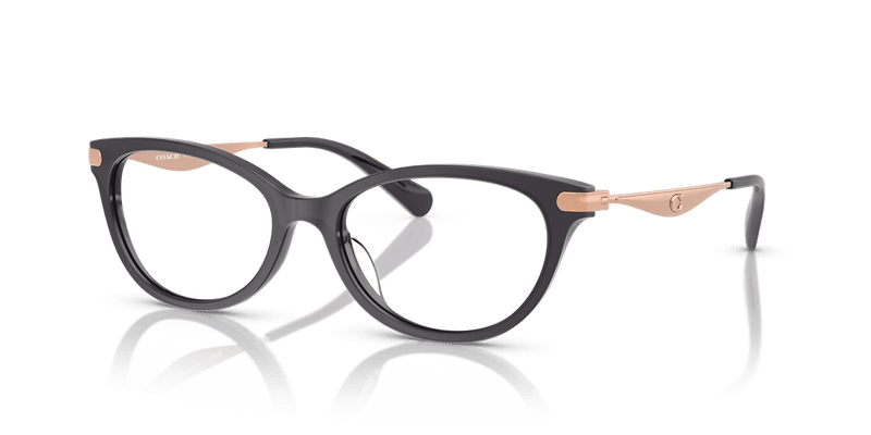 Coach HC6245U in Transparent Dark Grey / Demo Lens - Front View