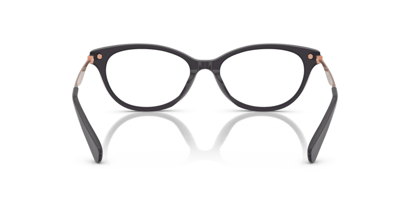 Coach HC6245U in Transparent Dark Grey / Demo Lens - Back View