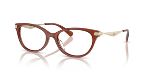 Transparent Brown / Demo Lens