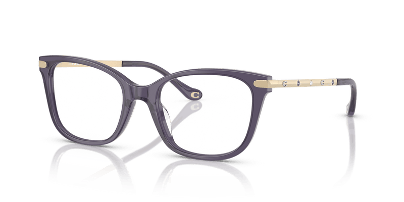 Coach HC6261BU in Milky Eggplant / Demo Lens - Front View