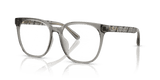 Transparent Light Grey / Demo Lens