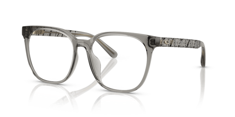 Coach HC6267D in Transparent Light Grey / Demo Lens - Alternate View