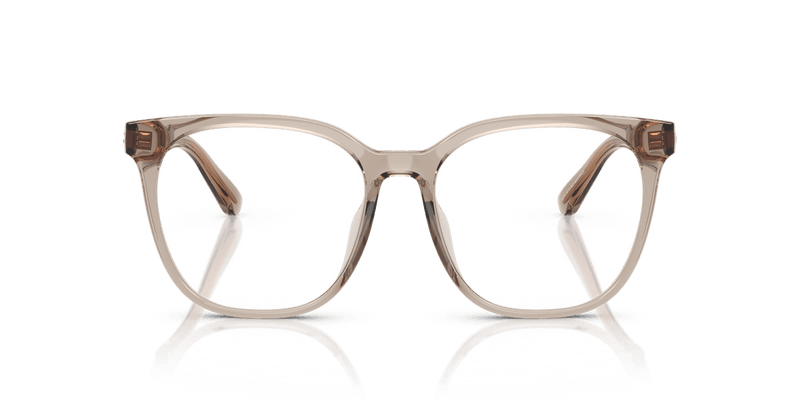 Coach HC6267D in Transparent Khaki / Demo Lens - Temple Detail