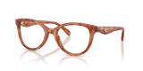 Caramel Tortoise (5774)