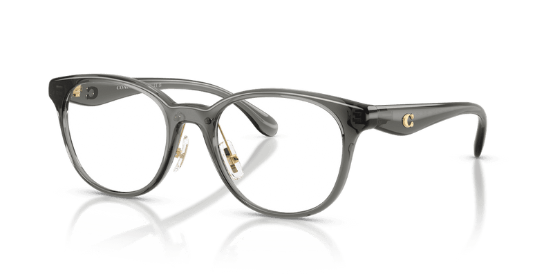Coach HC6294D in Transparent Dark Grey (5104) - Alternate View