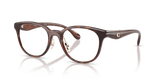 Dark Tortoise (5120)