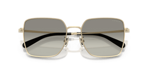 Shiny Light Gold/Black / Grey Gradient (94643C)