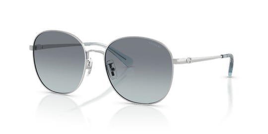 Shiny Silver / Ocean Gradient (900119)