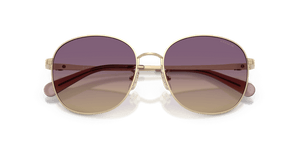 Shiny Light Gold / Iris Yellow Gradient (900570)