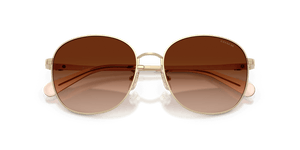 Shiny Light Gold / Brown Gradient (900574)