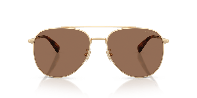 Coach CDP40 HC7190 in Satin Light Gold / Brown Solid (900513) - Alternate View