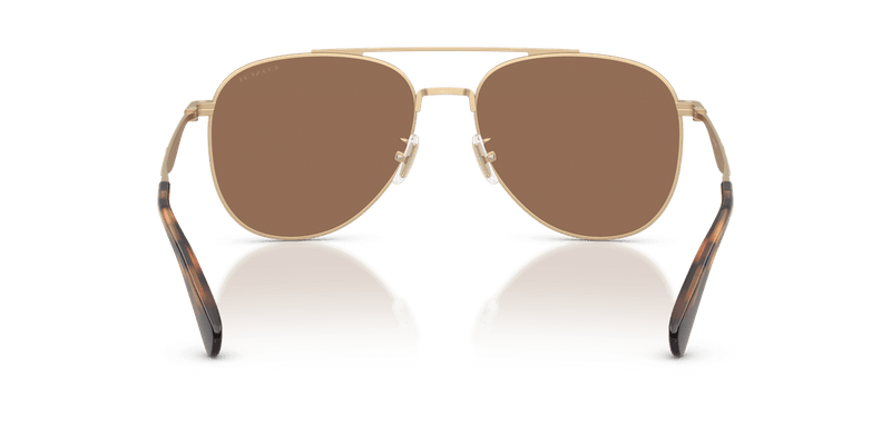 Coach CDP40 HC7190 in Satin Light Gold / Brown Solid (900513) - Alternate View