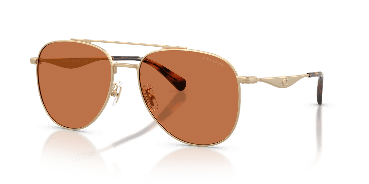 Coach CDP40 HC7190