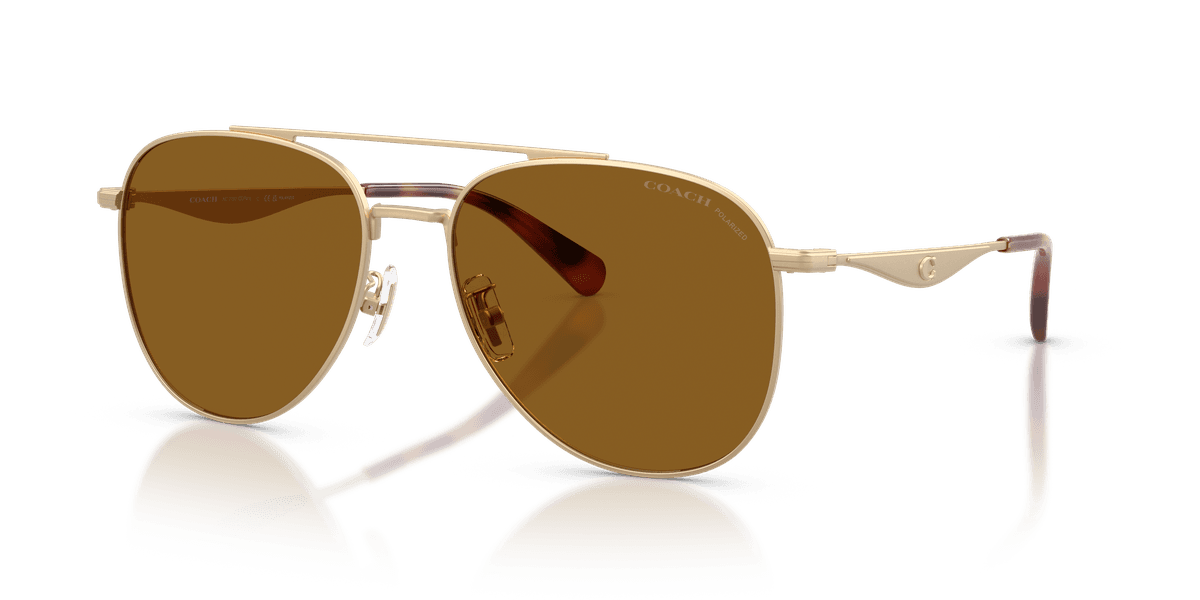 Coach CDP40 HC7190