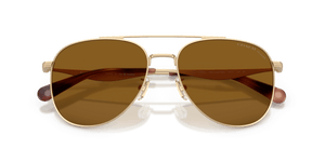 Satin Light Gold / Brown Solid Polarized (900583)