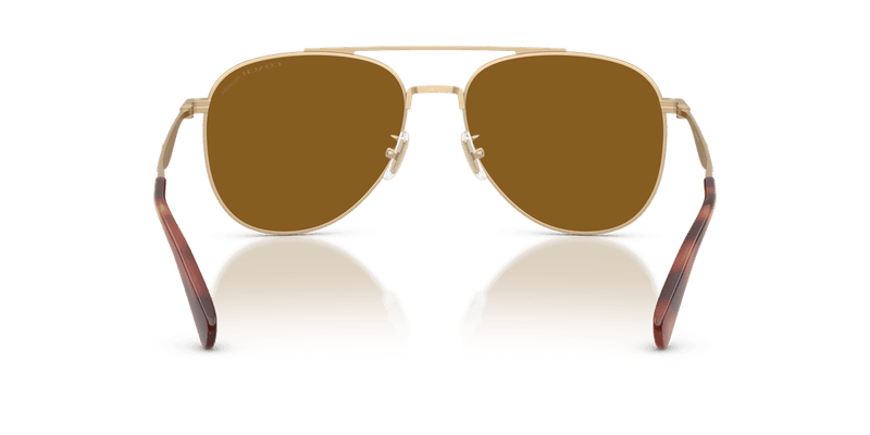 Coach CDP40 HC7190 in Satin Light Gold / Brown Solid Polarized (900583) - Alternate View