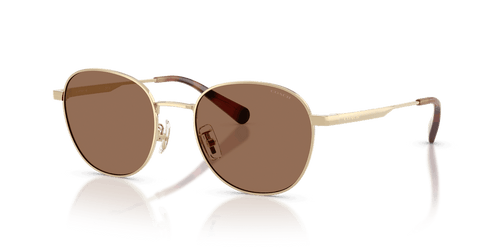 Shiny Light Gold / Brown Solid (900513)