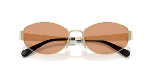 Shiny Light Gold / Light Brown Solid (900584)