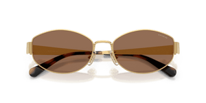 Shiny Gold / Dark Brown Solid (944113)