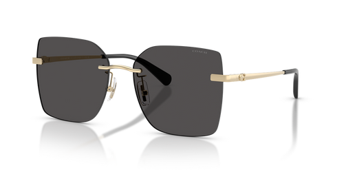 Shiny Light Gold / Grey Solid (900587)