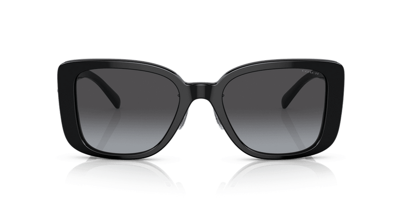 Coach CD472 HC8352 in Black / Grey Gradient (50028G) - Alternate View