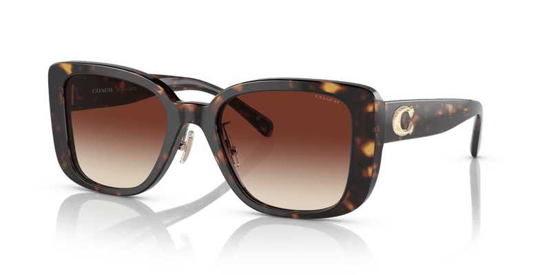 Coach CD472 HC8352 in Dark Tortoise / Dark Brown Gradient (512013) - Alternate View