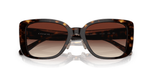 Dark Tortoise / Dark Brown Gradient (512013)