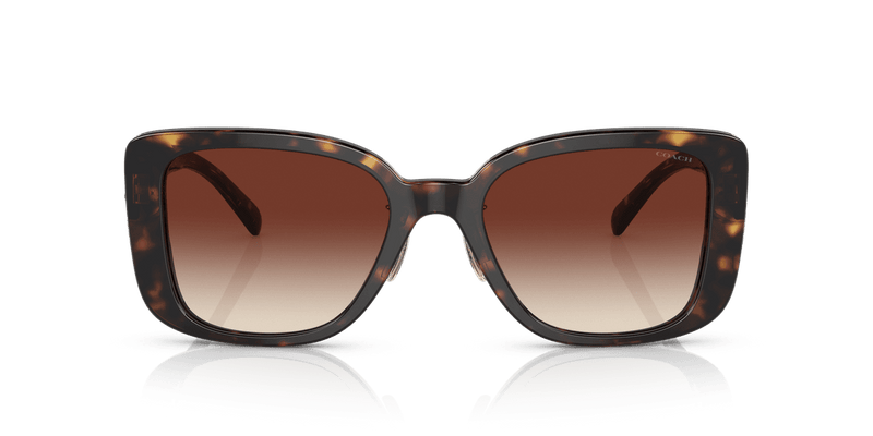 Coach CD472 HC8352 in Dark Tortoise / Dark Brown Gradient (512013) - Alternate View
