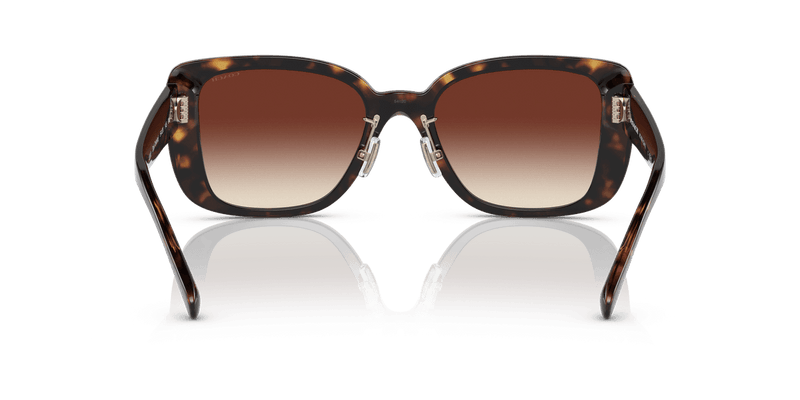 Coach CD472 HC8352 in Dark Tortoise / Dark Brown Gradient (512013) - Alternate View