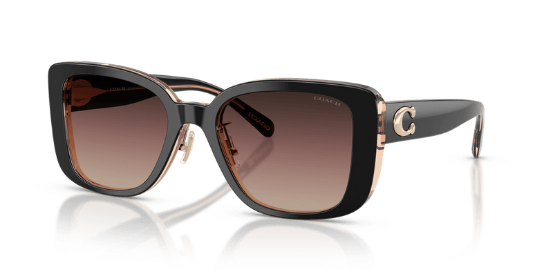 Coach CD472 HC8352 in Black/Blush / Brown Purple Gradient (5781E2) - Alternate View